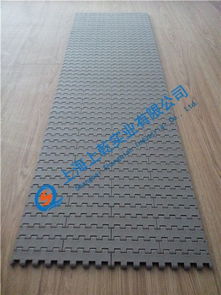 直行塑料網(wǎng)帶