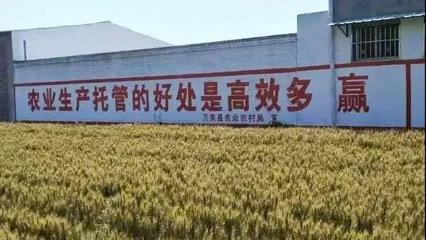 農(nóng)業(yè)托管模式再啟新篇 45億補(bǔ)貼落地，六成紅利直抵農(nóng)民腰包